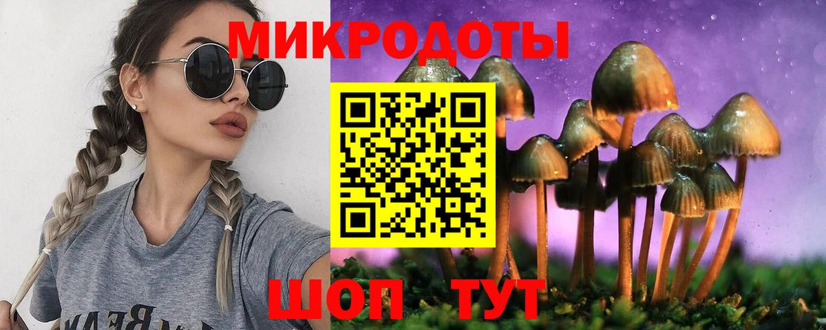 Псилоцибиновые грибы MAGIC MUSHROOMS Новозыбков