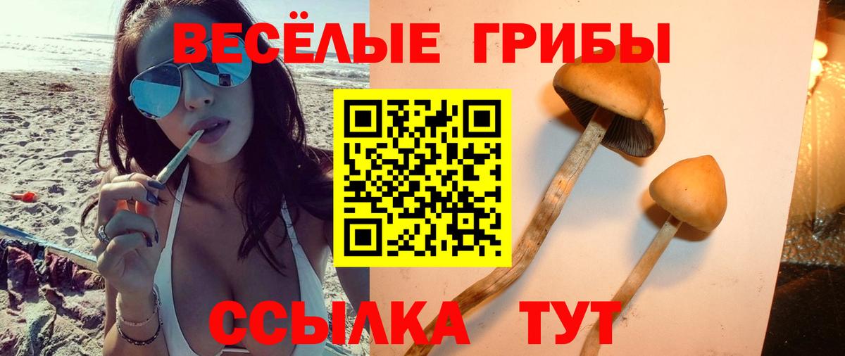 Псилоцибиновые грибы ЛСД  Вход с VPN  Новозыбков  Галлюциногенные грибы Cubensis 